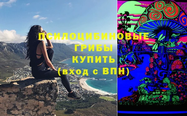 мескалин Лабытнанги