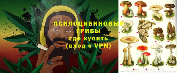 дживик Лагань