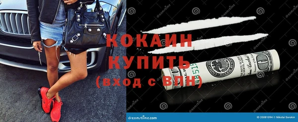 дживик Лагань