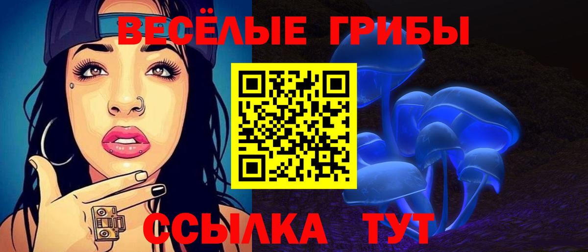Курчатов  Псилоцибиновые грибы ЛСД  Вход с VPN 